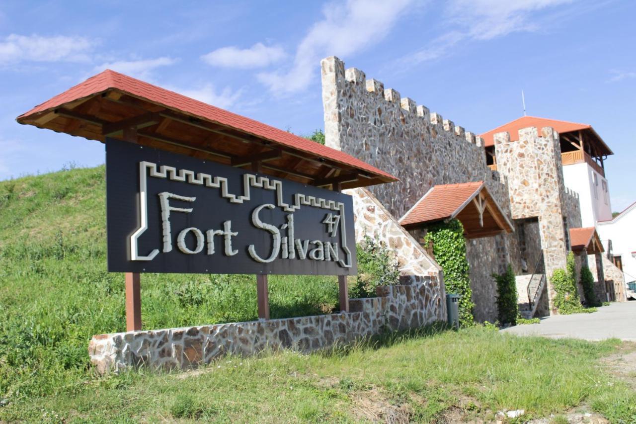 Pensiunea Kemsilvanum Fort Silvan Camar Extérieur photo